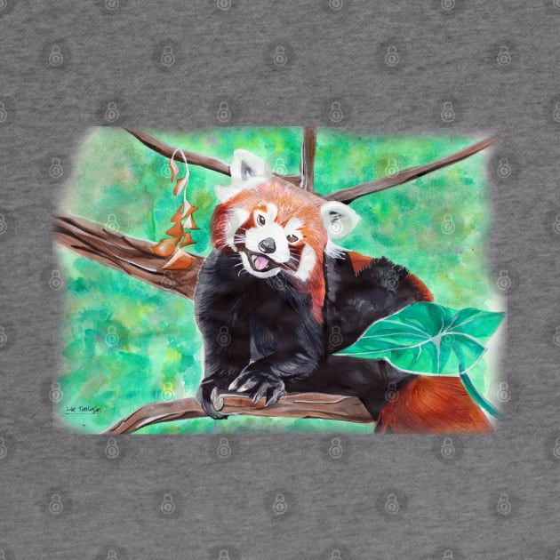 Red Panda by lucafon18